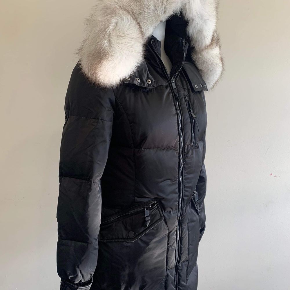 Madison Winter jacket - Picture 2 of 5